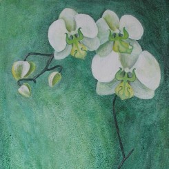 Acrylbild einer weissen Orchidee vor grünem Hintergrund.